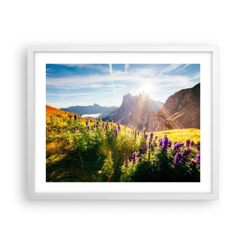 Poszter fekete keretben - A gyógynövények titkos élete - 50x40 cm