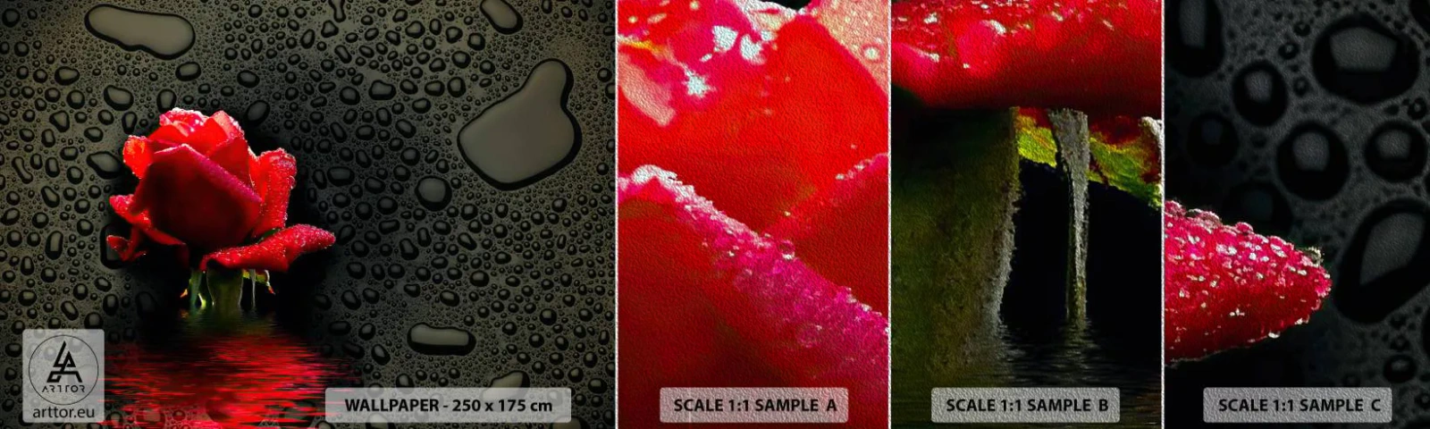 Fotótapéta Minta Premium Sand - piros és fekete - Virágok, Rózsa, Víz - 100x30 cm