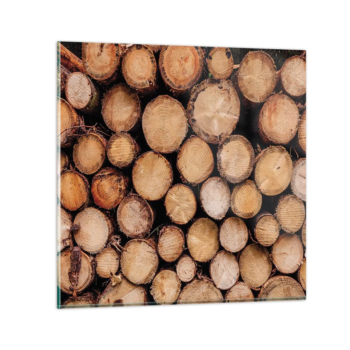 Üveg kép - Egy új kezdet - 50x50 cm