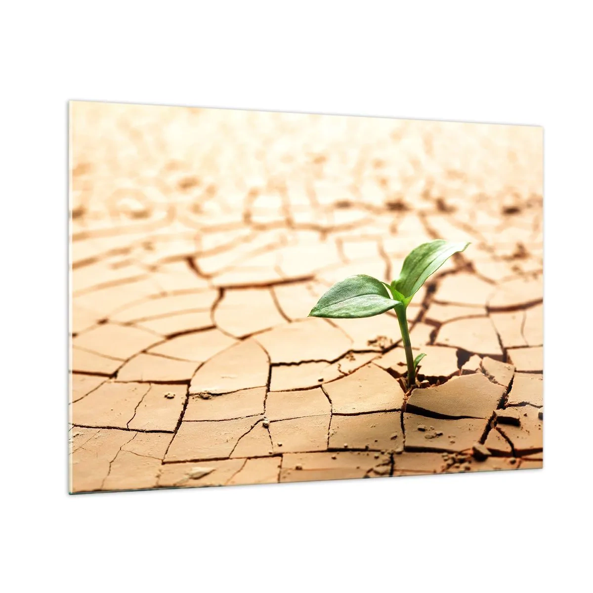 Üveg kép - Az élet fékezhetetlen ereje - 100x70 cm