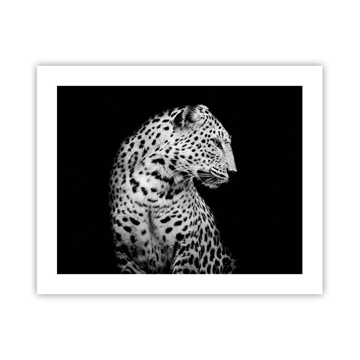 Poszter - Tökéletes jobb  profil! - 50x40 cm