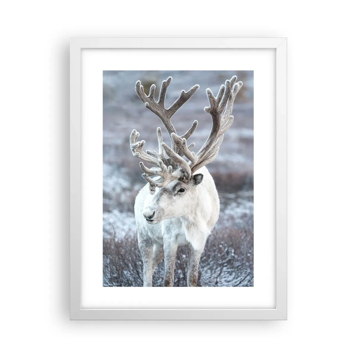 Poszter fekete keretben - Portré a napon - 30x40 cm