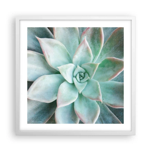 Poszter fekete keretben - A sivatag szíve - 50x50 cm