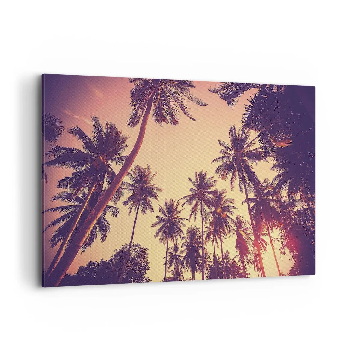 Vászonkép - Trópusi variáció - 120x80 cm