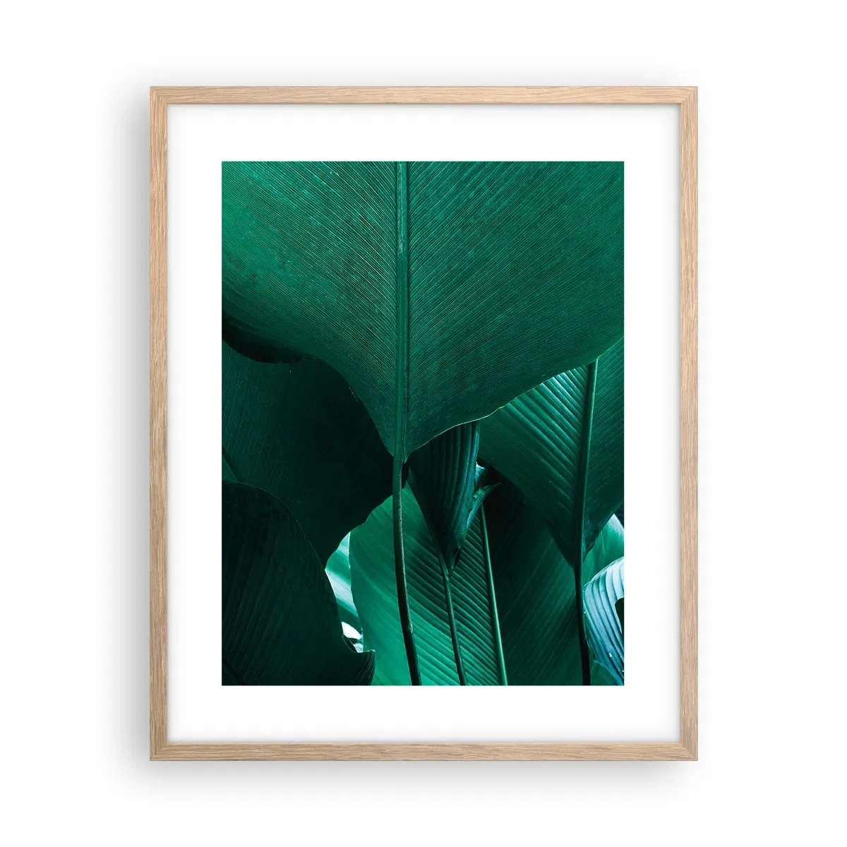 Poszter világos tölgy keretben - A fény felé nézve - 40x50 cm