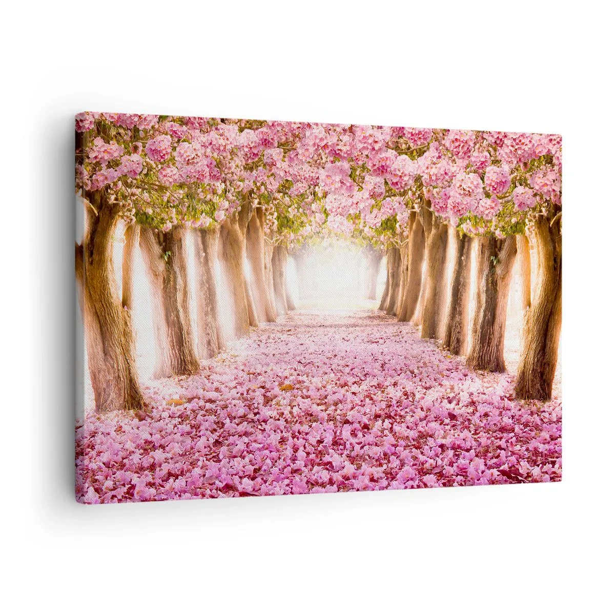 Vászonkép - Út a paradicsomba - 70x50 cm