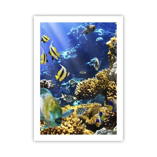 Poszter - Nagy forgalom a nyaraló ösvényen - 50x70 cm