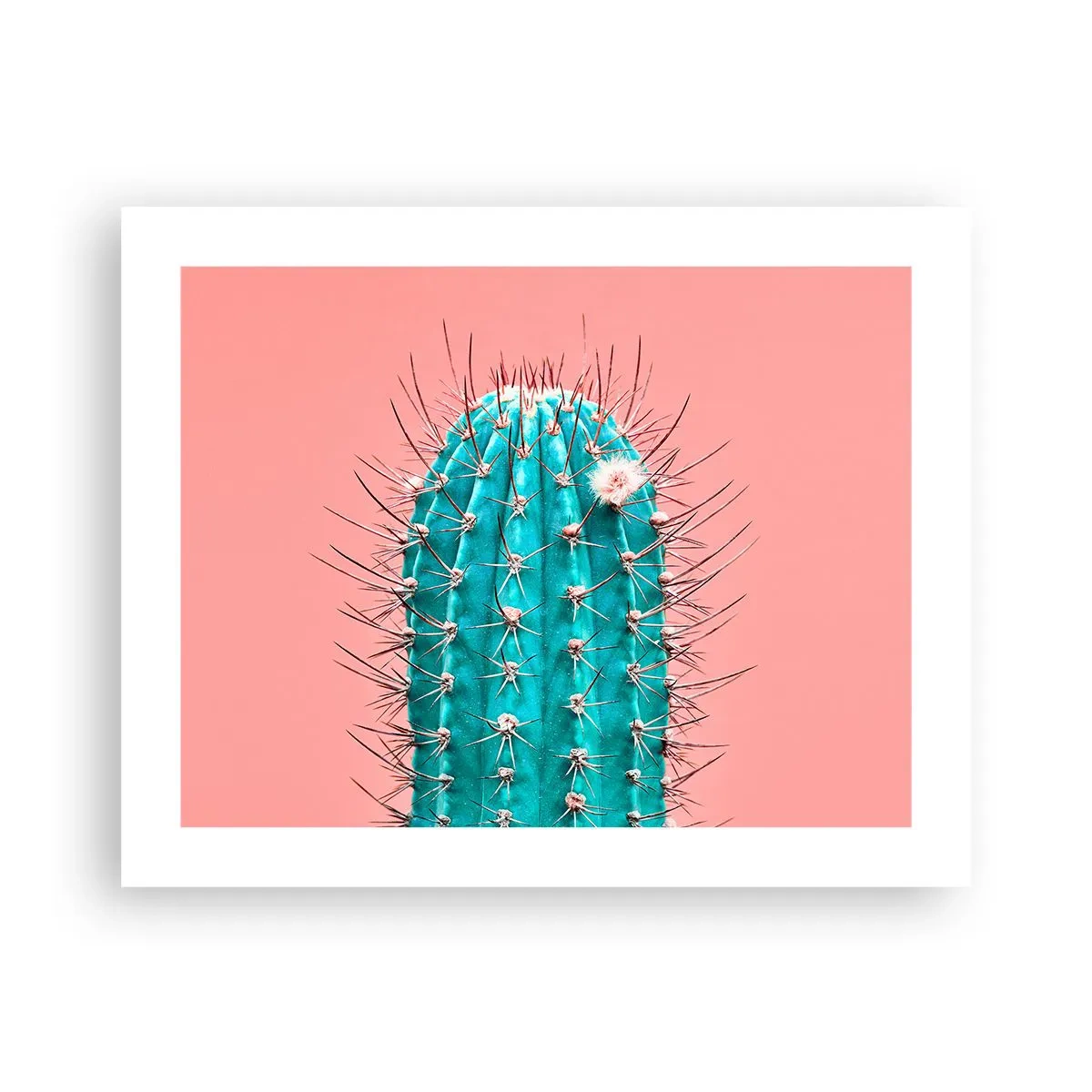 Poszter - Csak nézz - 50x40 cm