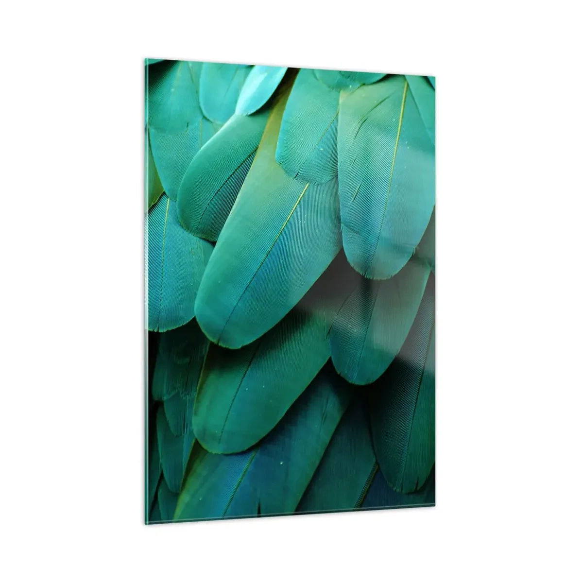 Üveg kép - A papagájtermészet precizitása - 50x70 cm