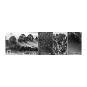 Fotótapéta Minta Premium Sand -  Az álomból felkelő - Tájkép, Erdő, Köd - 100x30 cm