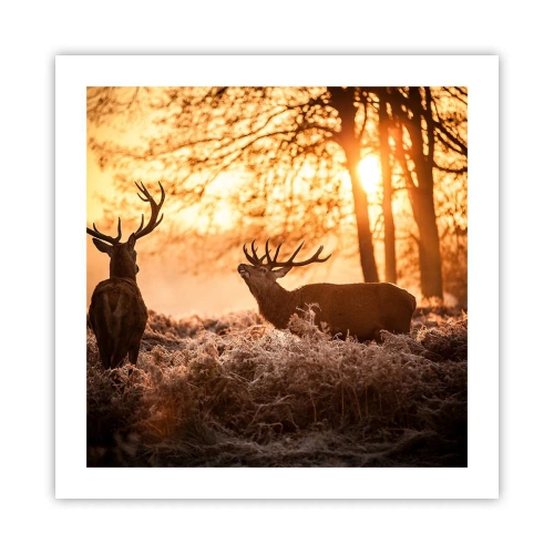 Poszter - Vadász álma - 50x50 cm
