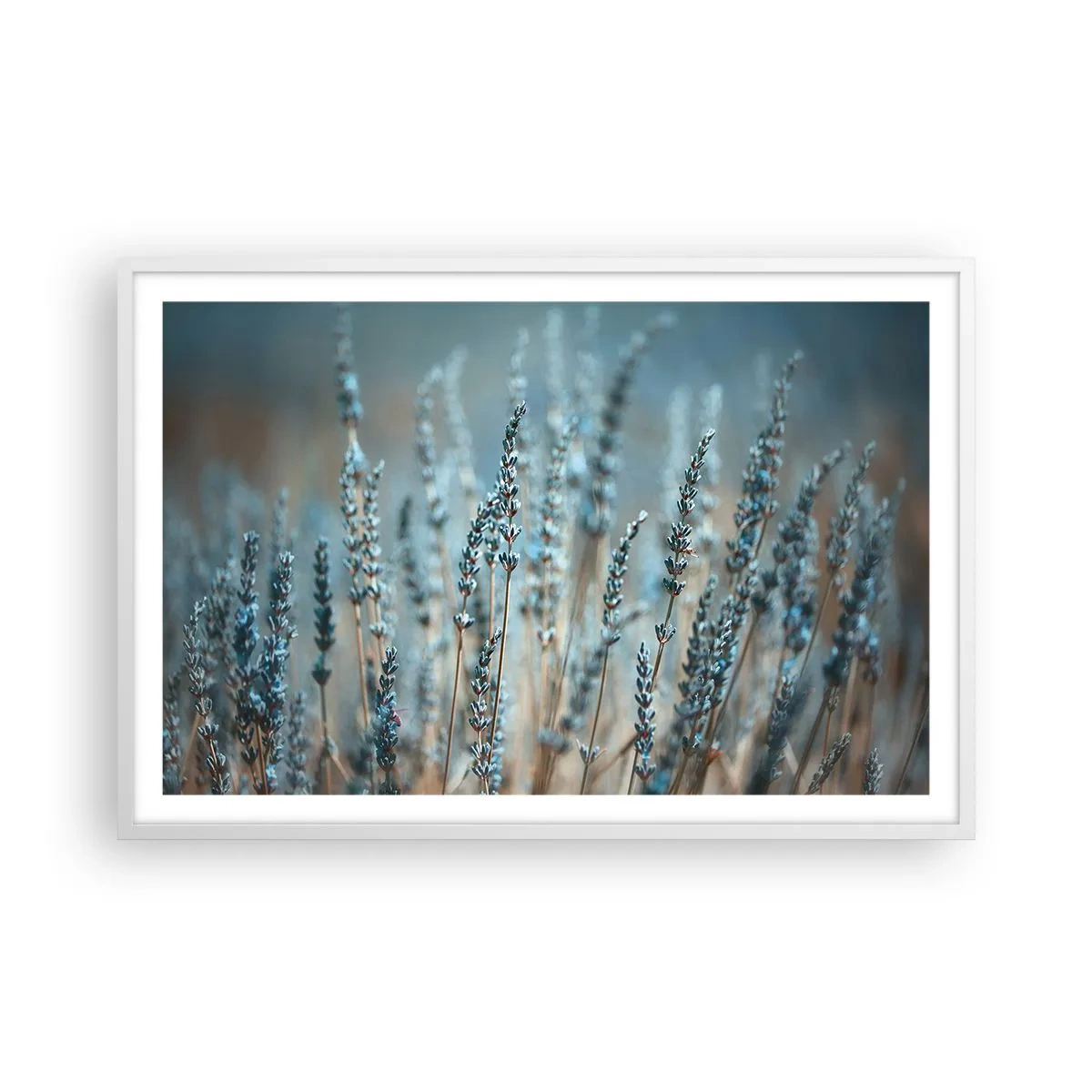 Poszter fekete keretben - Illatos szálak - 91x61 cm