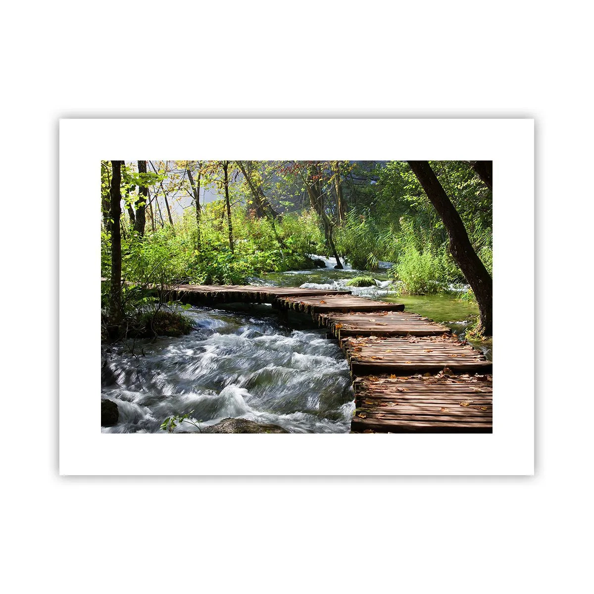 Poszter - A habzó zuhatag felett - 40x30 cm