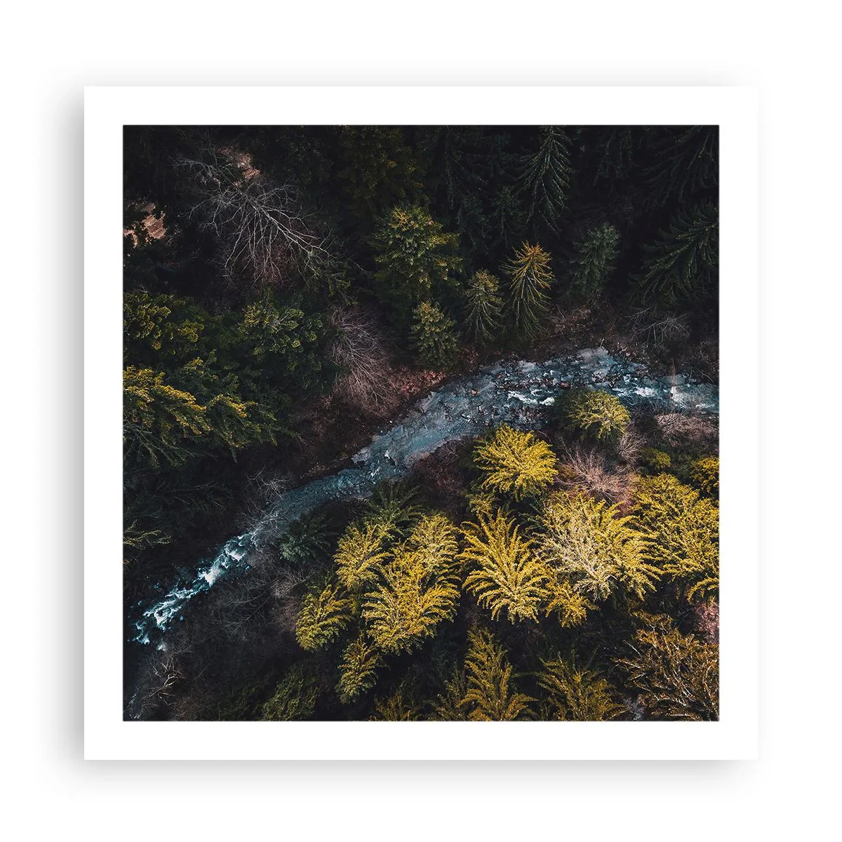 Poszter - Gyorsan, egyre gyorsabban - 60x60 cm