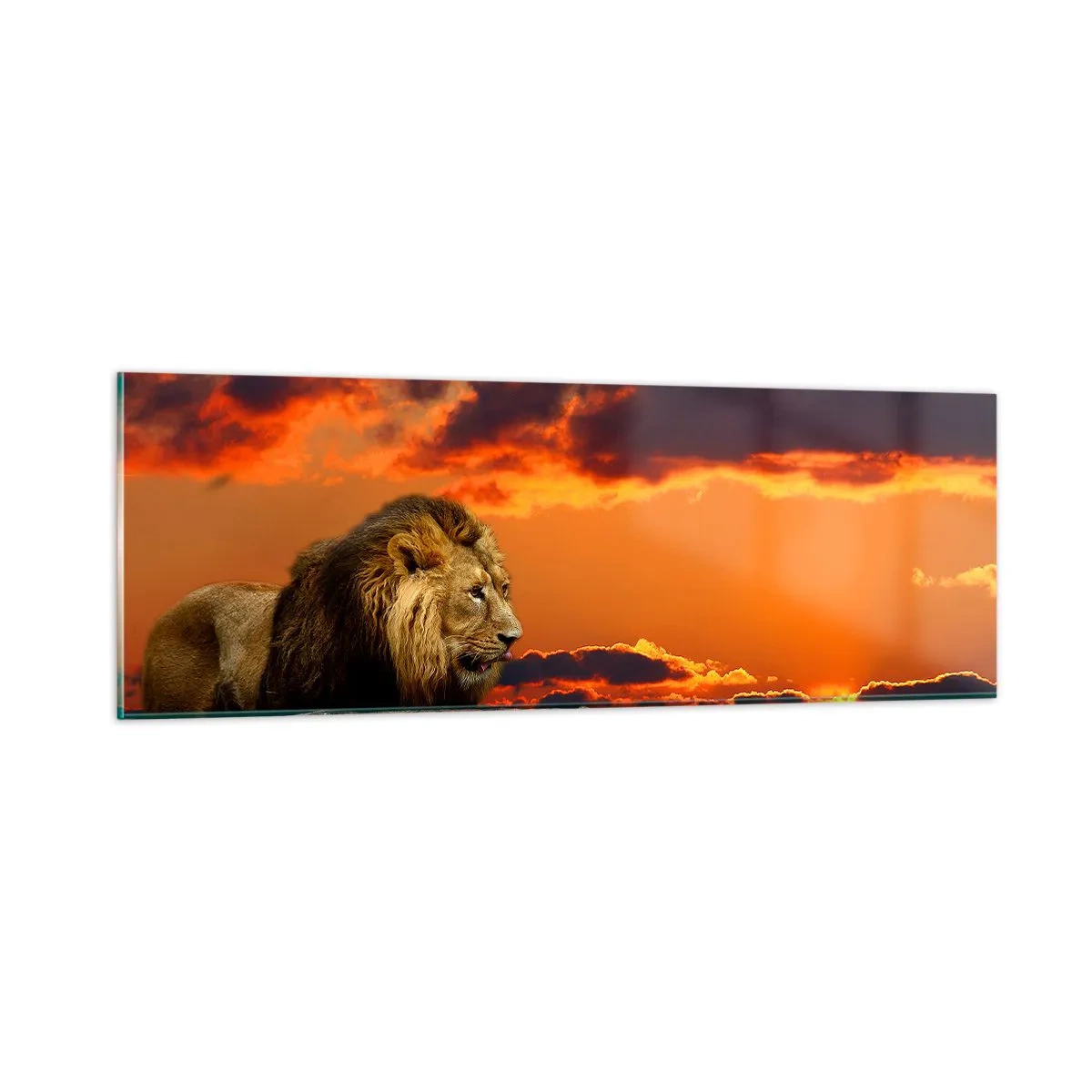 Üveg kép - A természet királya - 90x30 cm