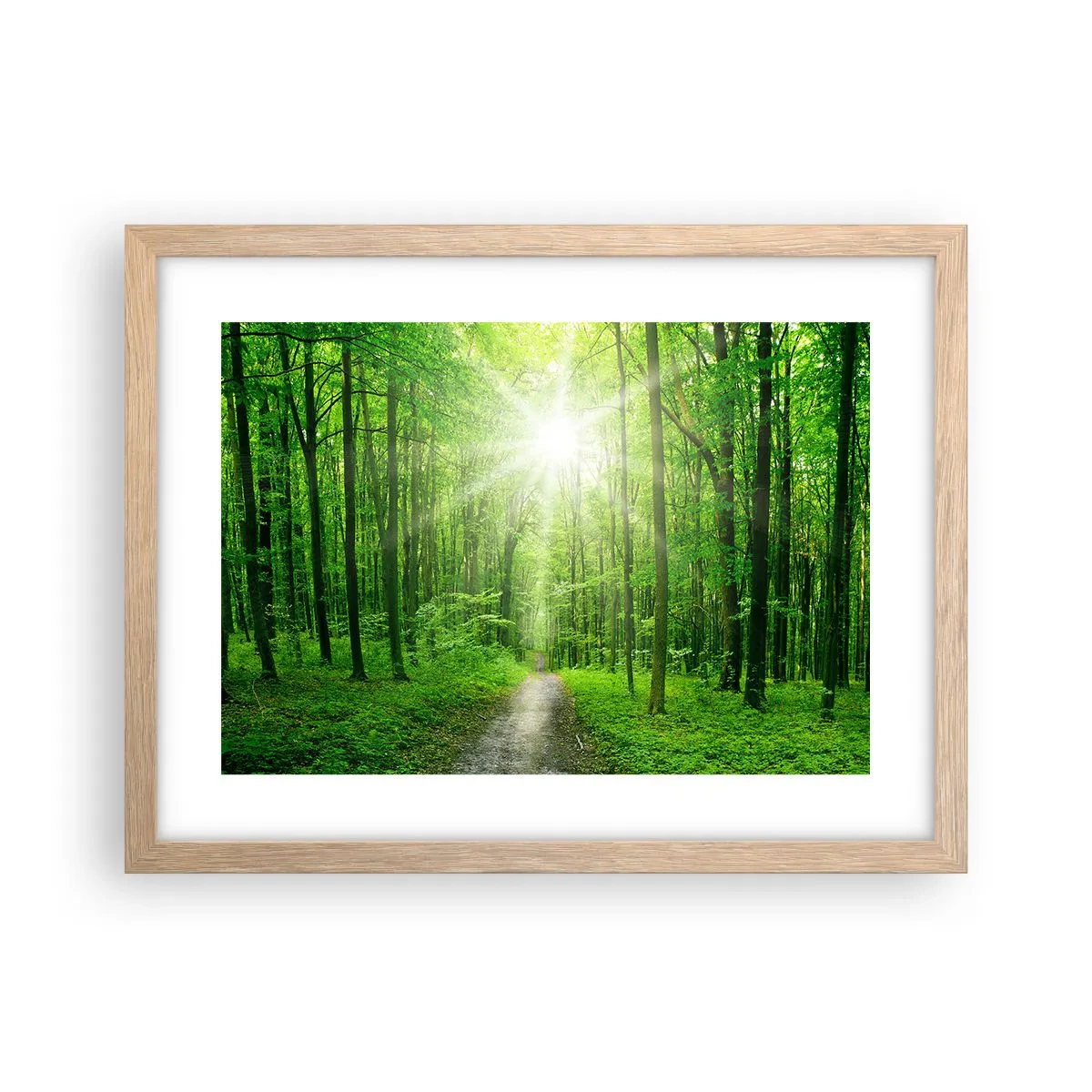 Poszter világos tölgy keretben - A zöld katedrális - 40x30 cm
