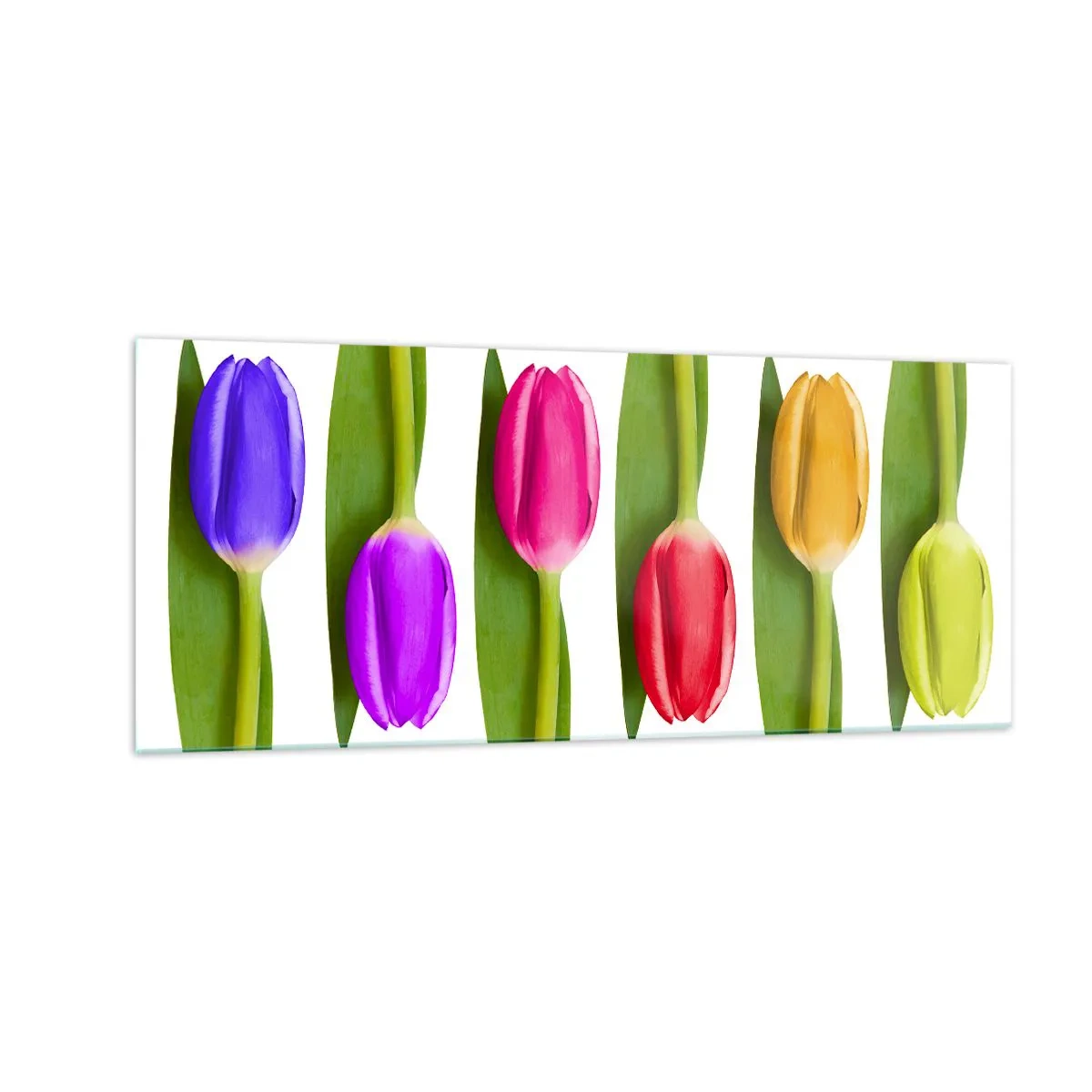 Üveg kép - Szivárvány kompozíció - 100x40 cm