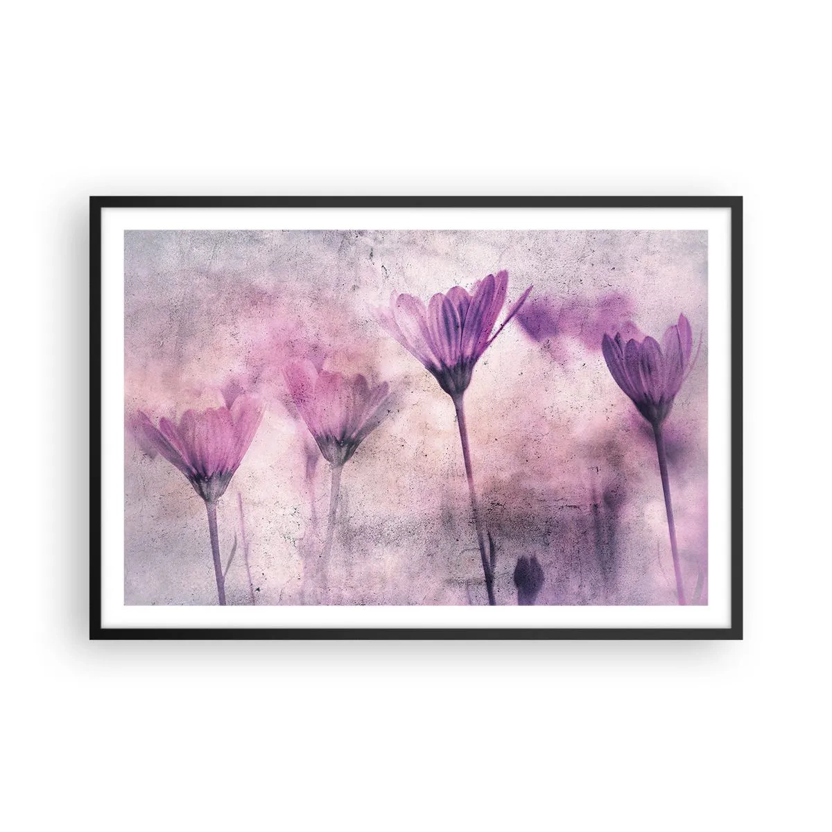 Poszter fehér keretben - A virágok álma - 91x61 cm