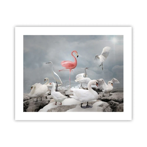 Poszter - Hogy kerültem ide? - 50x40 cm