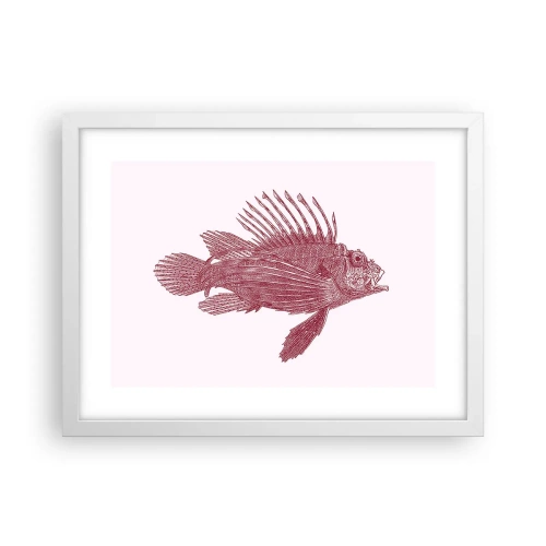 Poszter fekete keretben - Egzotikus vizek lakója - 40x30 cm
