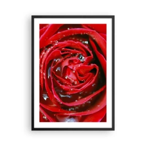 Poszter fehér keretben - Vörös rózsa közeli képe vízcseppekkel - 50x70cm - A harmatcseppekben - Modern fali dekoráció nappalihoz és hálószobához ARTTOR