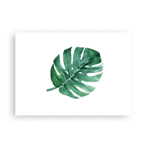 Poszter - Zöld koncepció - 70x50 cm