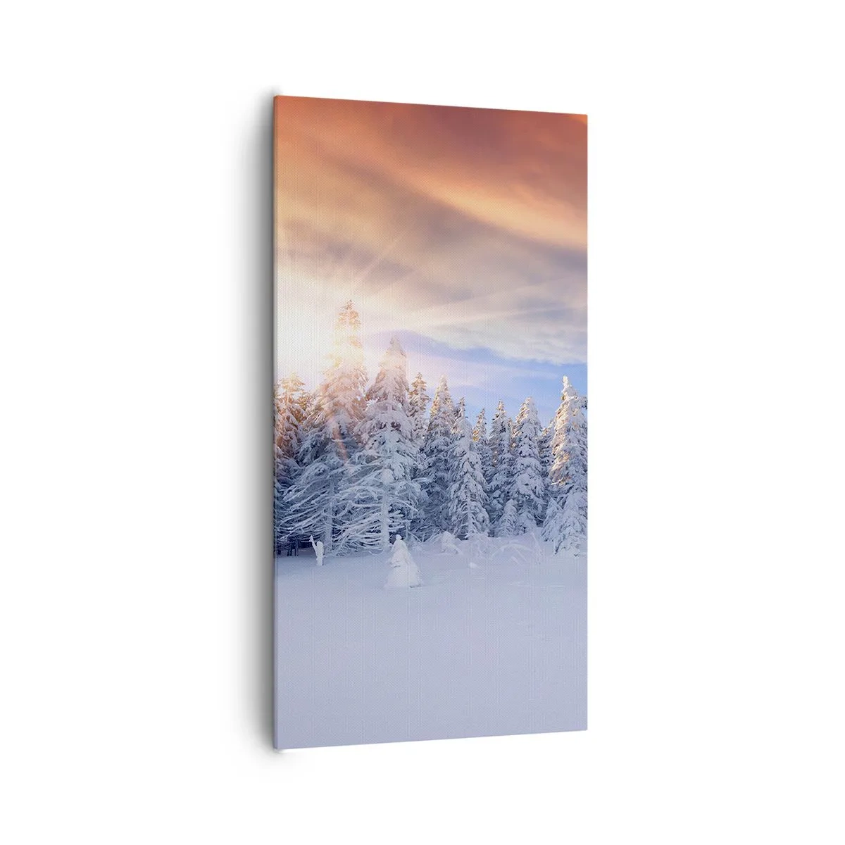 Vászonkép - A természet havas látványa - 65x120 cm