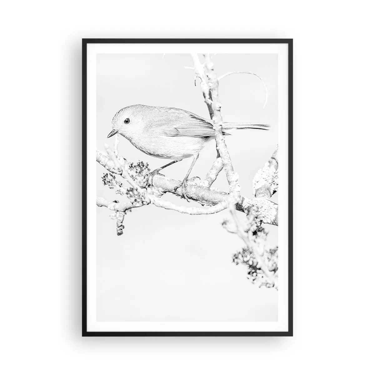 Poszter fehér keretben - Téli reggel - 70x100 cm