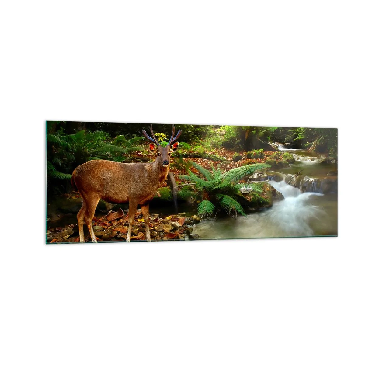 Üveg kép - üdvözöllek a világomban - 140x50 cm