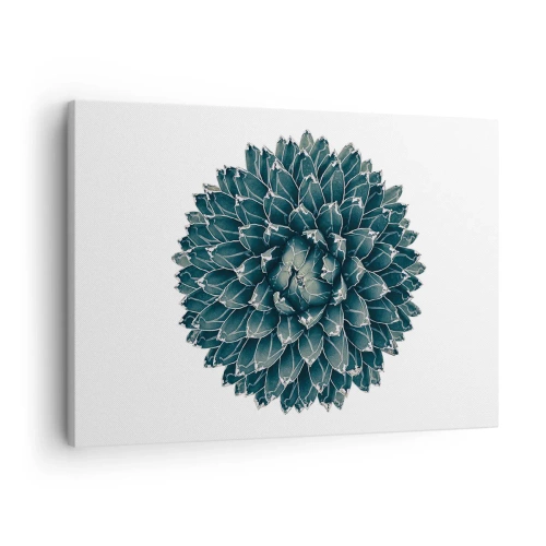 Vászonkép - Szimmetrikus pozsgás növény fehér alapon - 70x50cm - A sivatag csillaga - Modern fali dekoráció nappalihoz és hálószobához ARTTOR