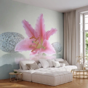 Fotótapéta Premium Sand - Egy tanulmány rózsaszín, szürke és fehér színben - Virágok, Liliom, Kövek - 150x105 cm