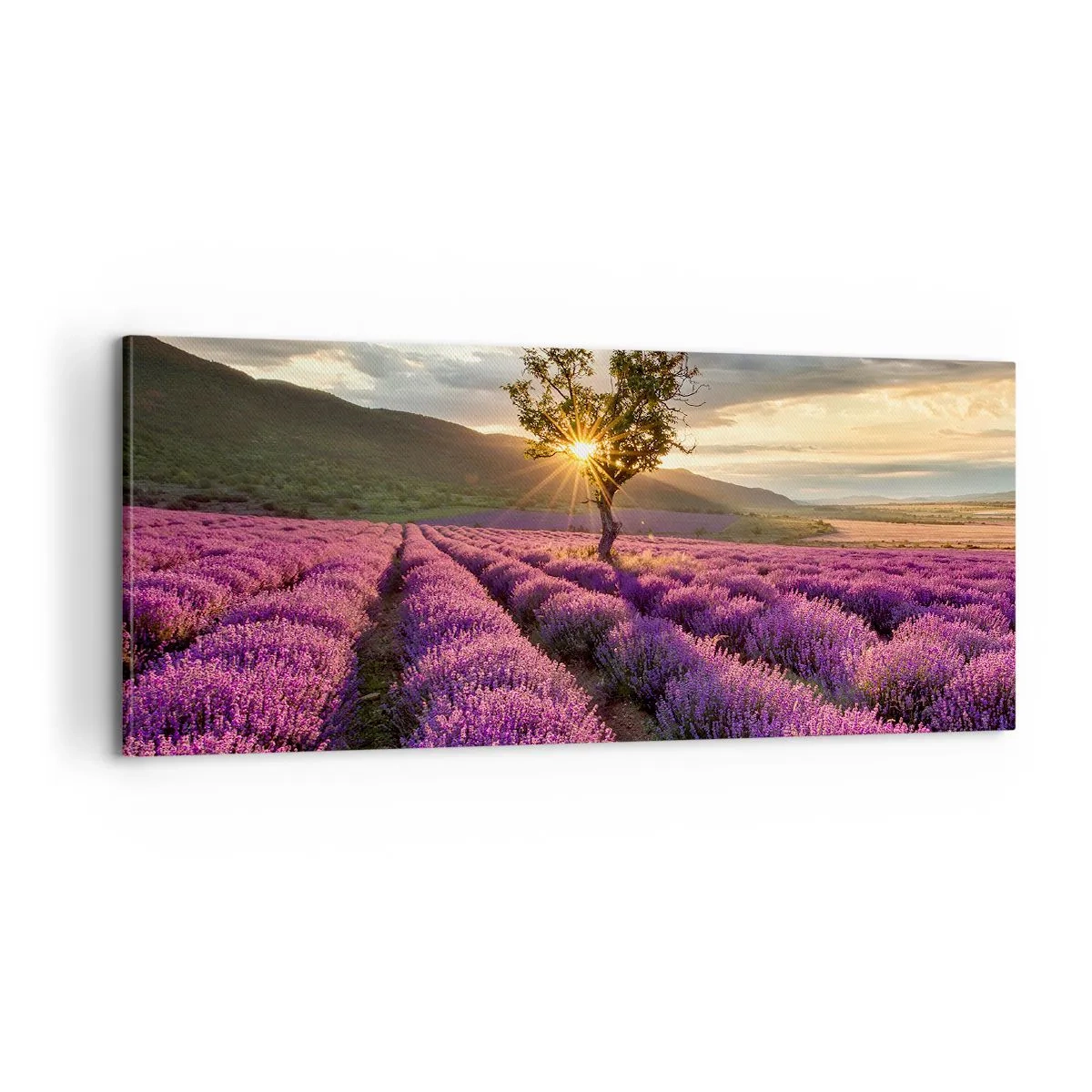 Vászonkép - Lila színű illat - 100x40 cm
