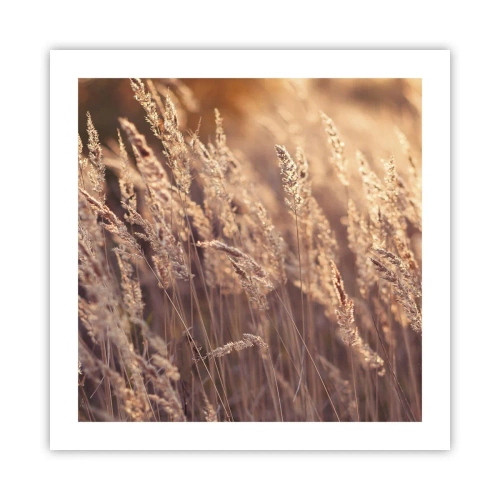 Poszter - Készen az ősz fogadására - 50x50 cm