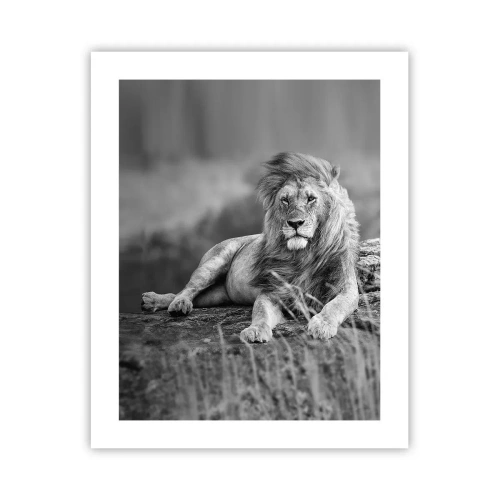 Poszter - Királyi szieszta - 40x50 cm