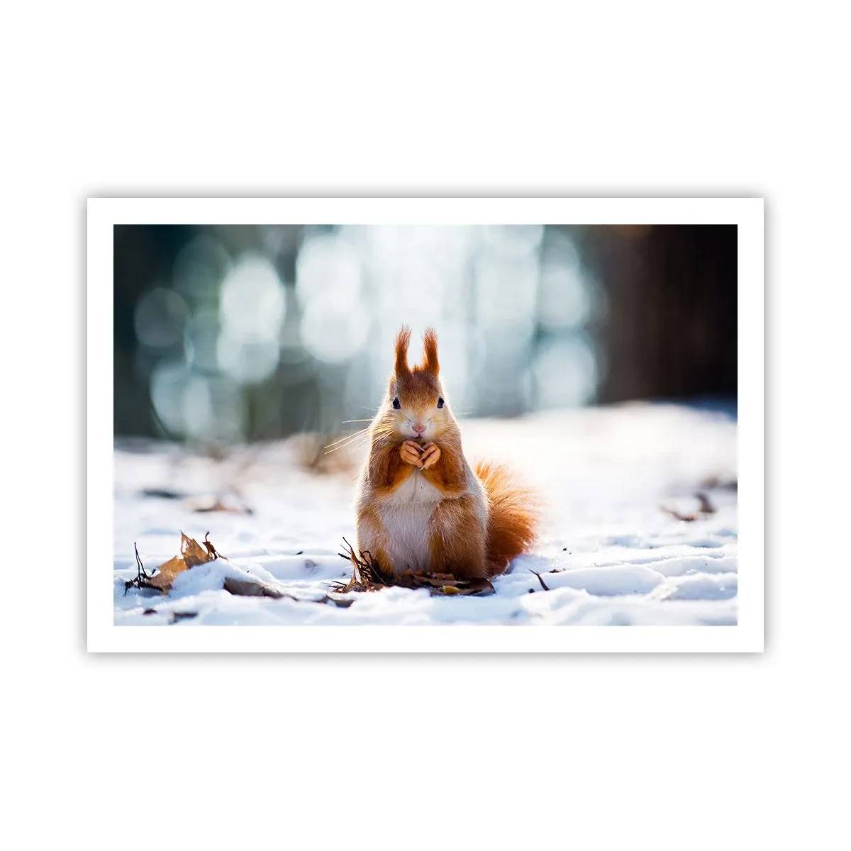 Poszter - Mit nézel? - 91x61 cm