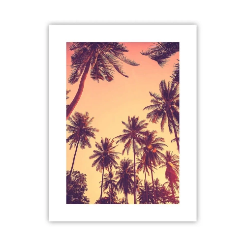 Poszter - Trópusi variáció - 30x40 cm