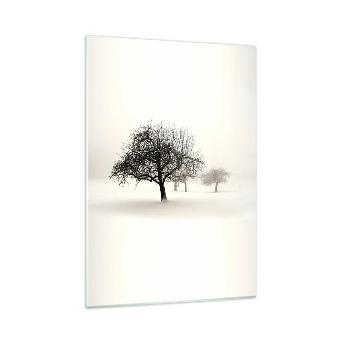Üveg kép - Téli álom - 50x70 cm