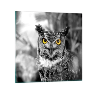 Üveg kép - Semmi sem fog elbújni - 50x50 cm