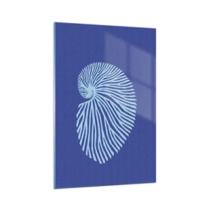 Üveg kép - Egy kagyló születése - 70x100 cm