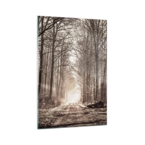 Üveg kép - Erdei katedrális - 70x100 cm