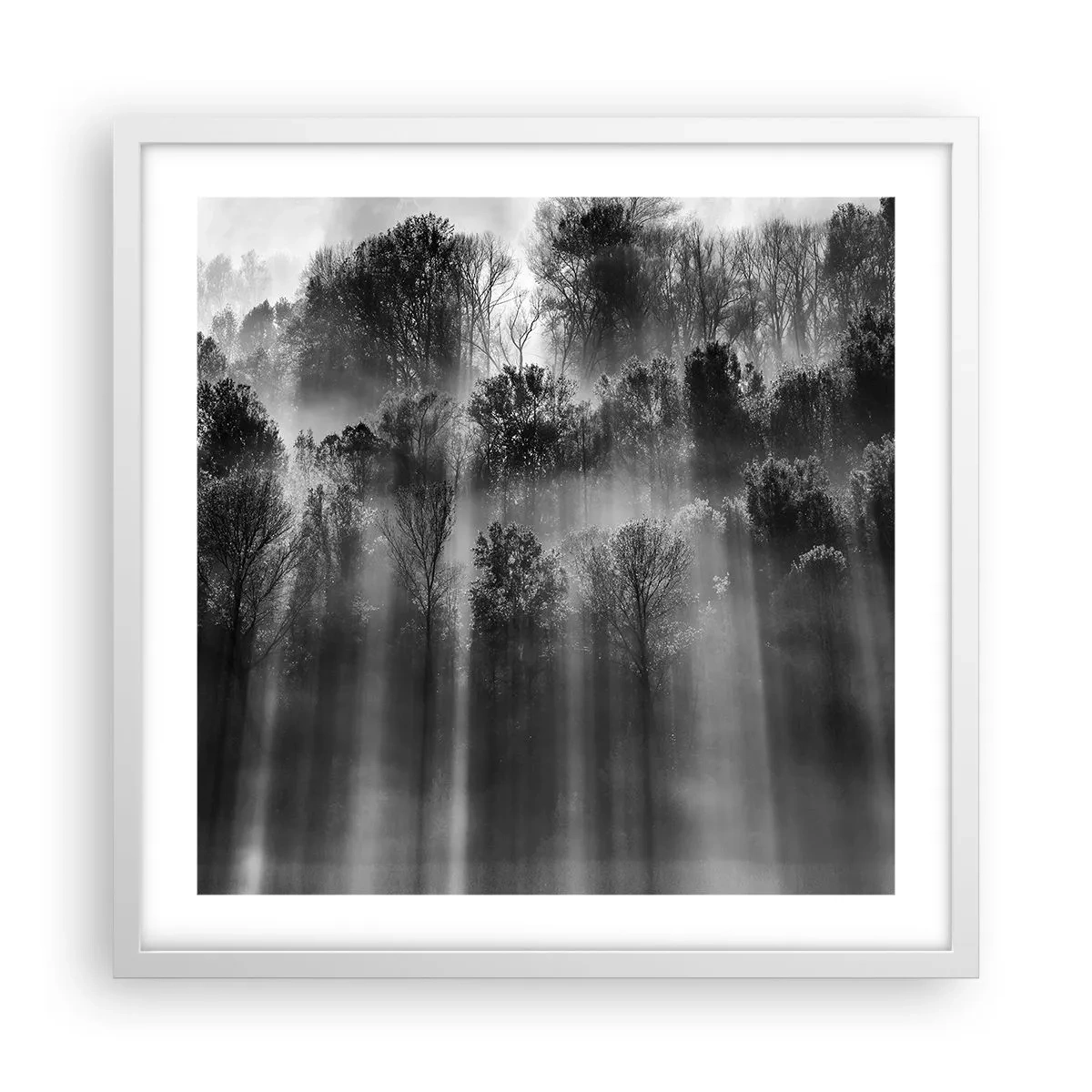 Poszter fekete keretben - Fénypatakokban - 50x50 cm