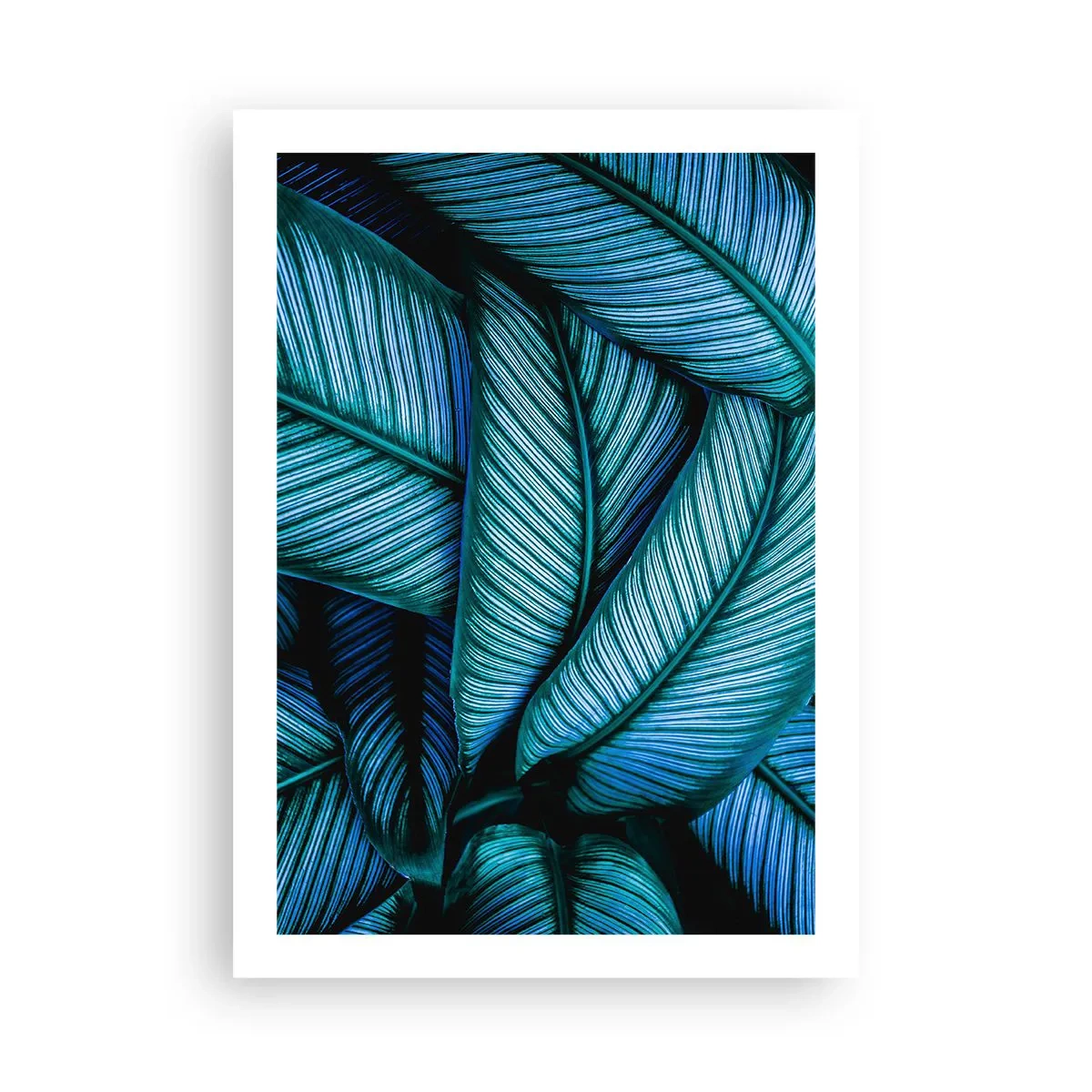 Poszter - Életvonalak - 50x70 cm