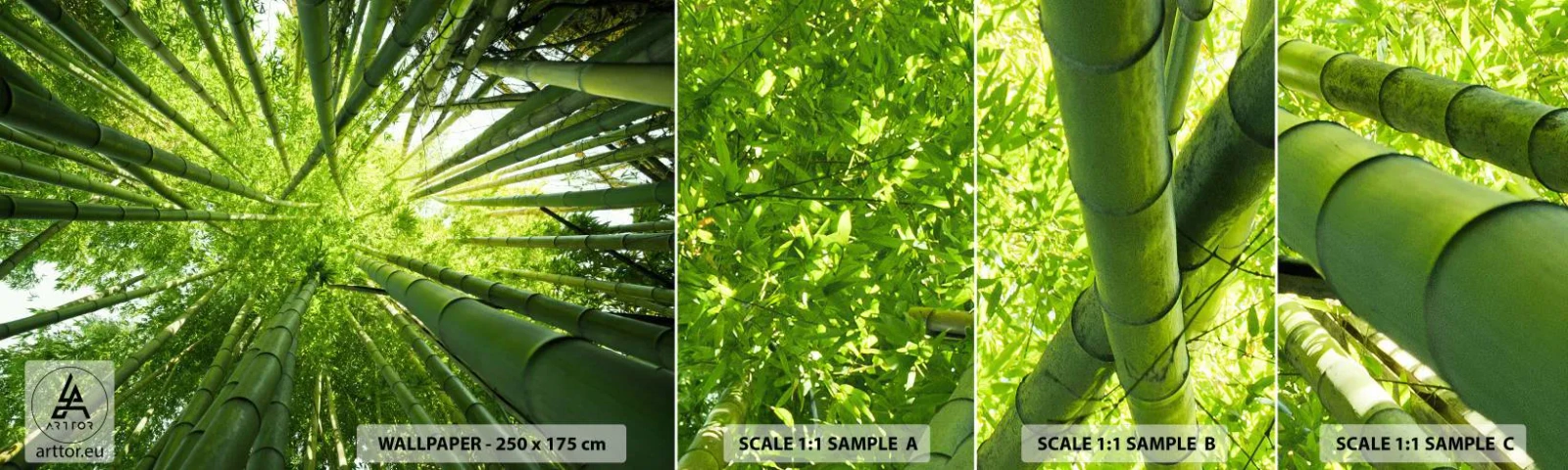 Fotótapéta Minta Öntapadós Deluxe Sticker - Egy bambuszligetben - Bambusz erdő, Dzsungel, Bambusz - 100x30 cm