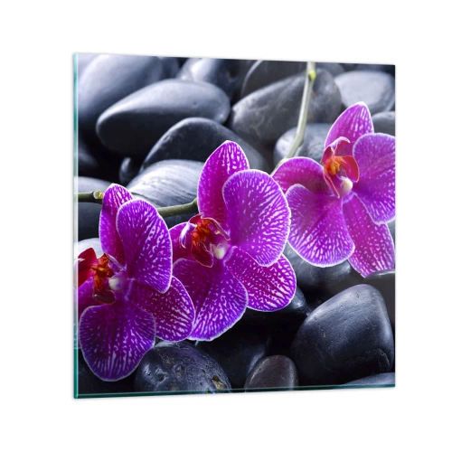 Üveg kép - A kövek kivilágosodtak az örömtől - 50x50 cm