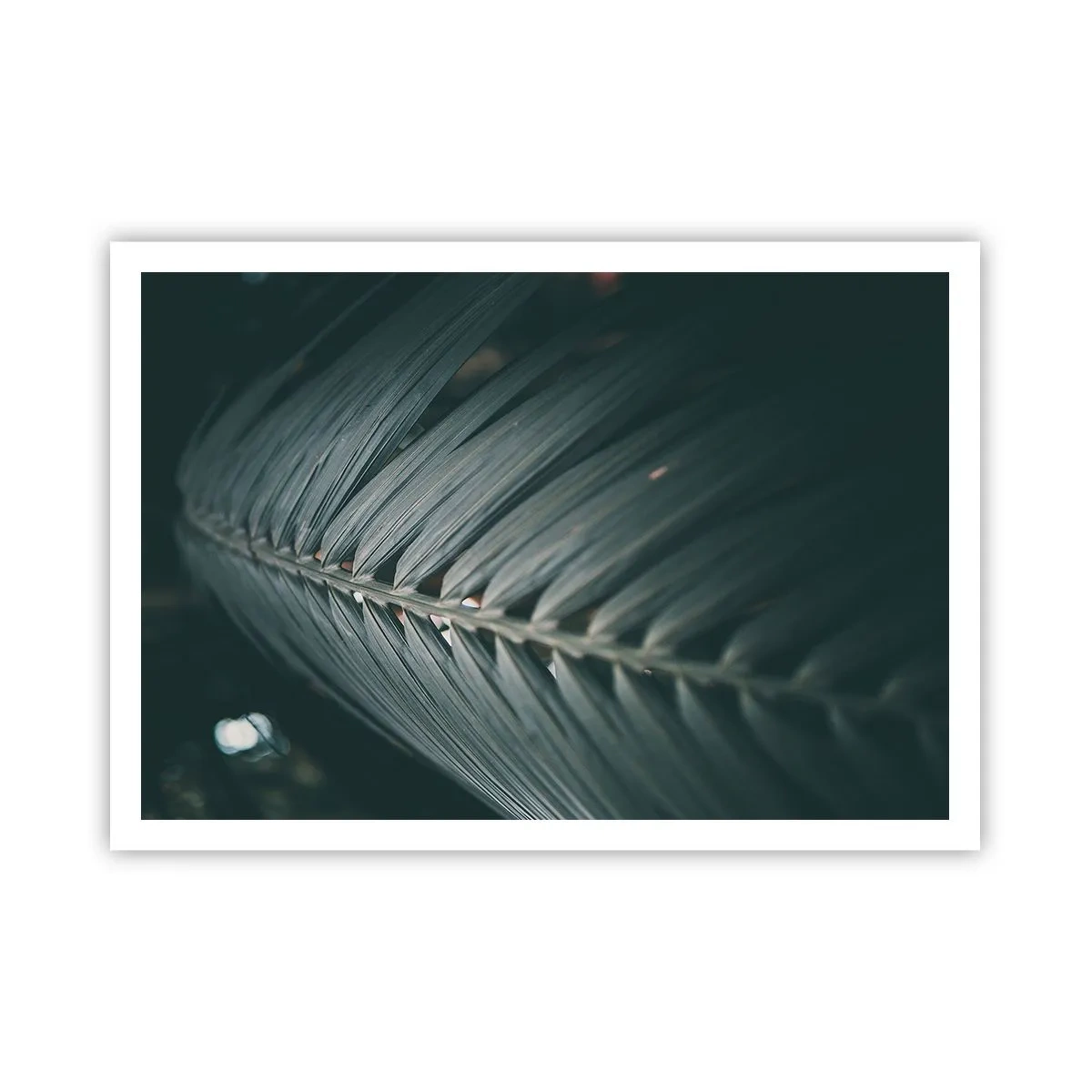 Poszter - A természet pontossága - 100x70 cm