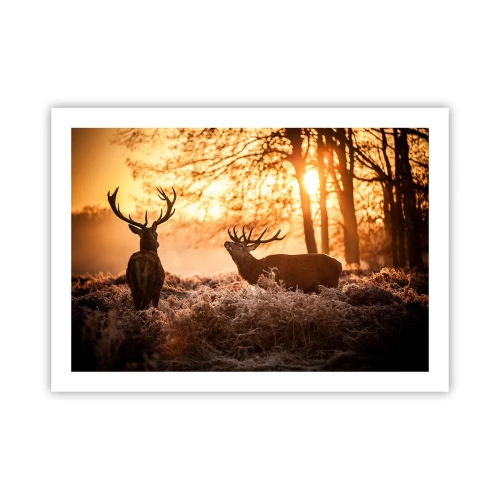 Poszter - Vadász álma - 70x50 cm