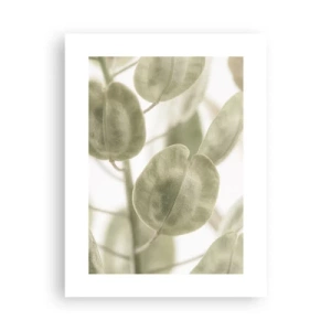 Poszter - Kezdetben levelek voltak... - 30x40 cm