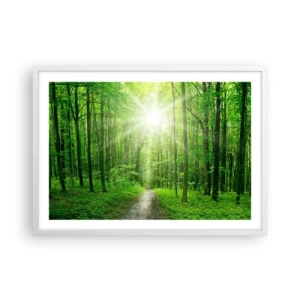 Poszter fekete keretben - A zöld katedrális - 70x50 cm