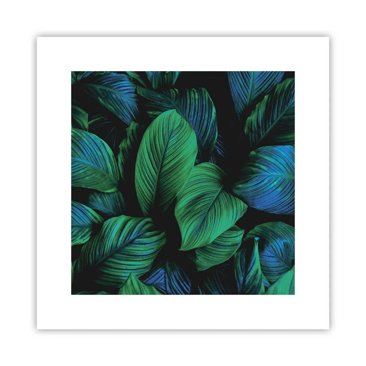 Poszter - A zöld tömegben - 30x30 cm