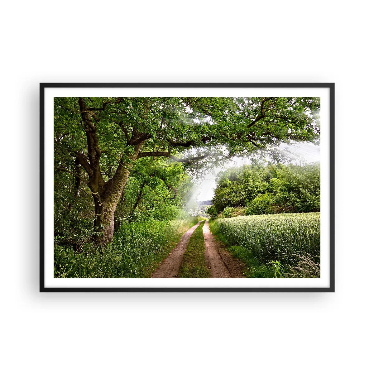 Poszter fehér keretben - Et in Arcadia ego - 100x70 cm